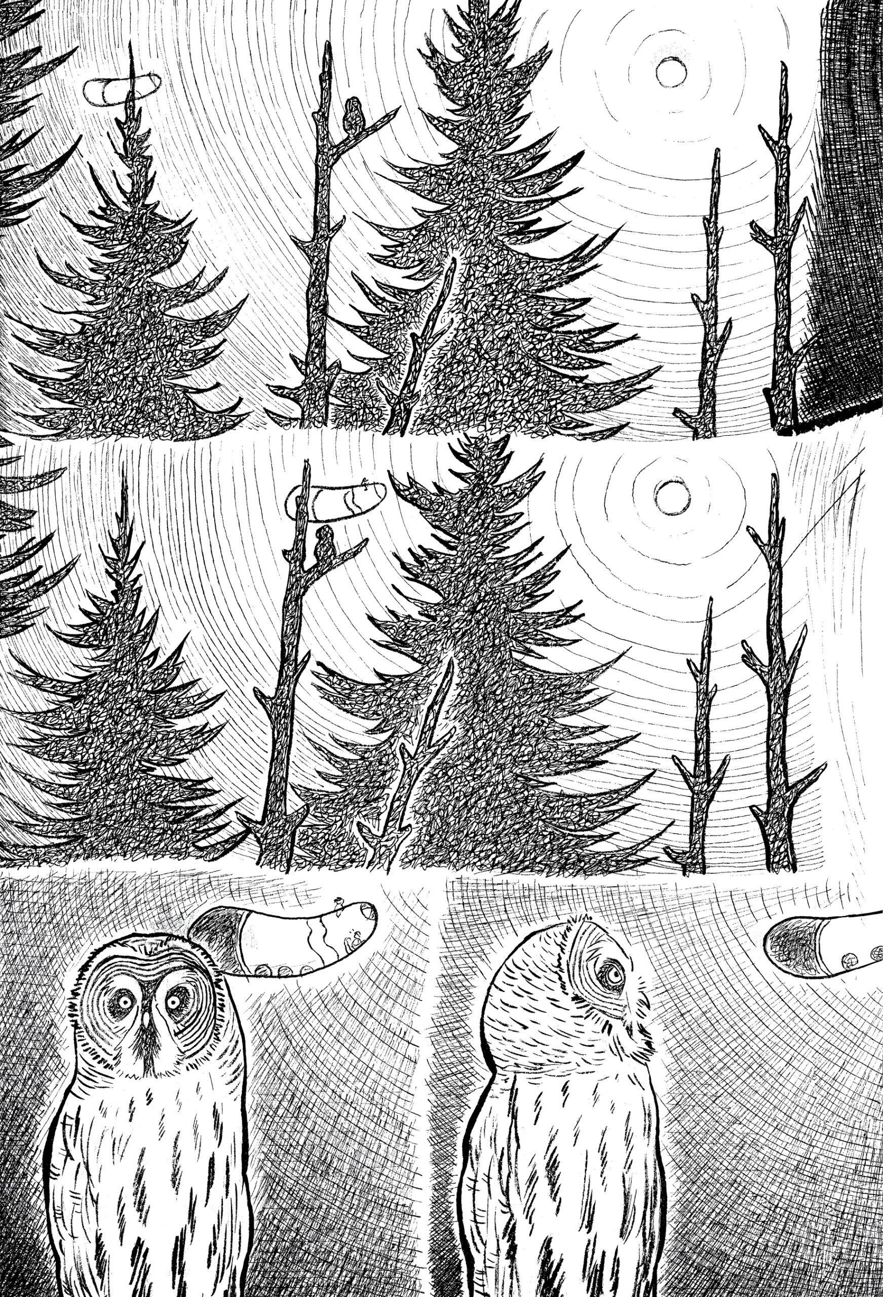 The Montreal Gazette Reviews King of King Court Drawn & Quarterly