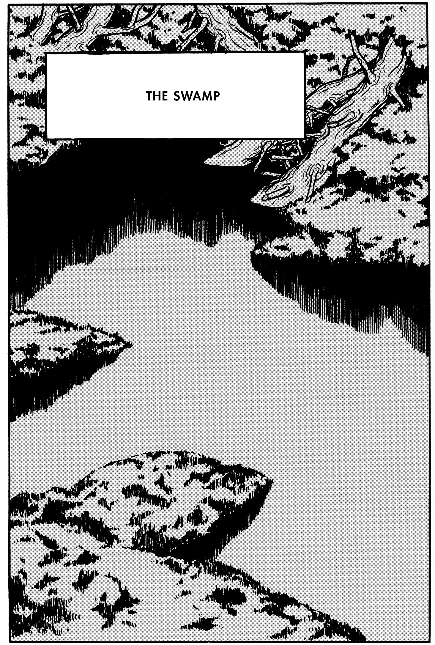 swamp