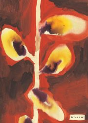 NATIVE-TREES.interior NATIVE-TREES.interior