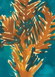 NATIVE-TREES.interior10 NATIVE-TREES.interior10