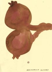 NATIVE-TREES.interior2 NATIVE-TREES.interior2