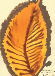 NATIVE-TREES.interior4 NATIVE-TREES.interior4