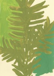 NATIVE-TREES.interior6 NATIVE-TREES.interior6