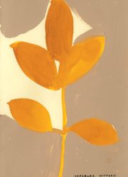 NATIVE-TREES.interior8 NATIVE-TREES.interior8