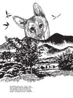 DOGDAYS.interior-46