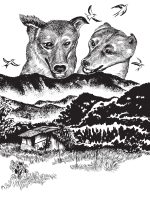 DOGDAYS.interior-47