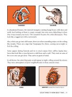 YOKAI-GUIDE.sample-4