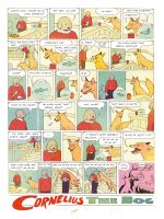 CORNELIUS.interior202